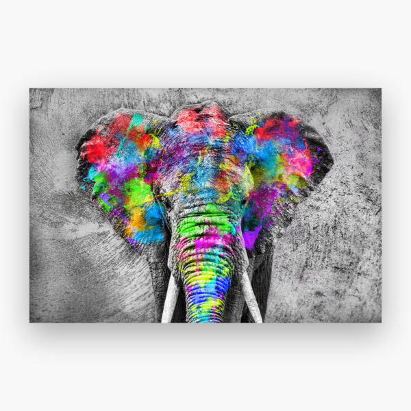 Elephant Paint